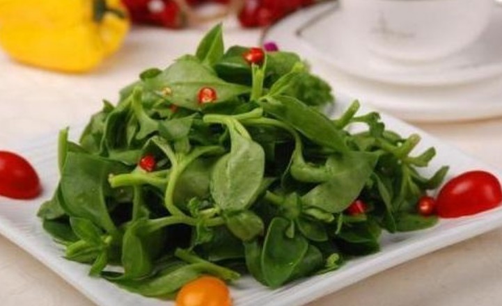 夏天养此款花卉，耐寒易打理，花美色艳，花儿轻松开爆盆