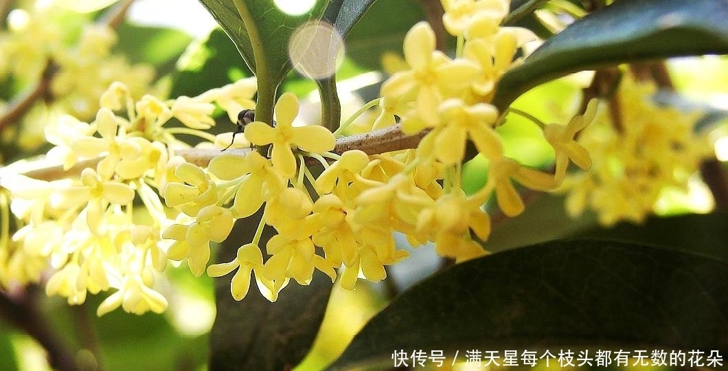 天气一热,鱼儿就不好钓?饵料中添加这些小“配料”,上鱼那叫快