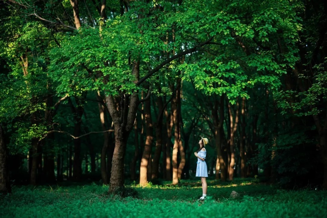 小儿湿疹|三伏天，五大忌，千万别落下病根！