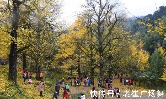 湘西十八洞|湖南最值得来的景区，媲美湘西十八洞，还有800年的古树，超吸睛