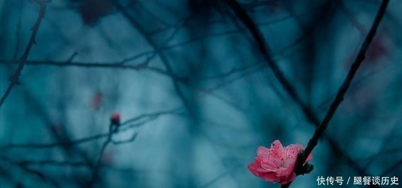 忧愁#李煜水平很高的一首词,通篇都在描写忧愁,可是却没有一个愁字!