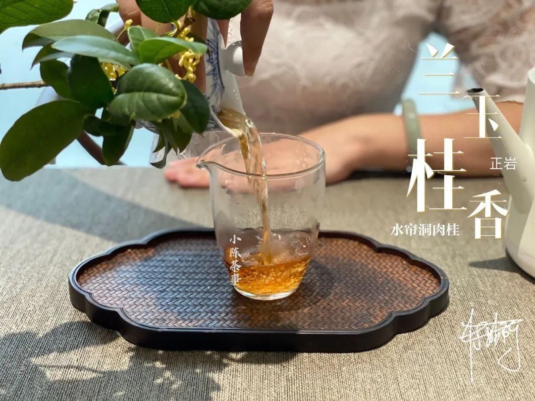 学术讨论|武夷岩茶还魂汤的学术讨论,专家不喝,茶客必留,这是为什么呢