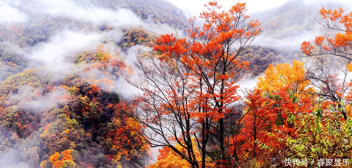 美丽|秋光乍泄 美景成诗 秋日的神农架 一定会惊艳到你