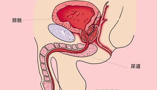 前列腺|男人开始衰老，身体会有部位给出提醒，若还没有，说明算年轻的
