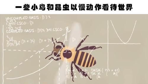 自动扶梯|你不大可能在教科书里见到的10个有趣的冷知识