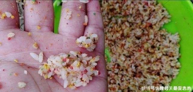 饵料|米饭粒这样用，这个夏季钓鲫鱼再也不怕小鱼闹，不信你就试试看