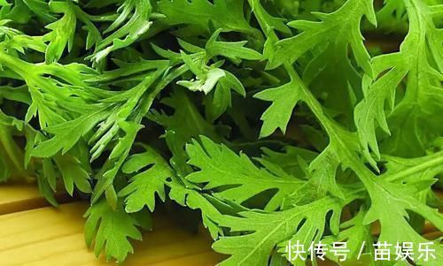 绿豆芽|体内湿气重的人,放开肚皮吃6物,帮你祛湿排毒,体重慢慢降