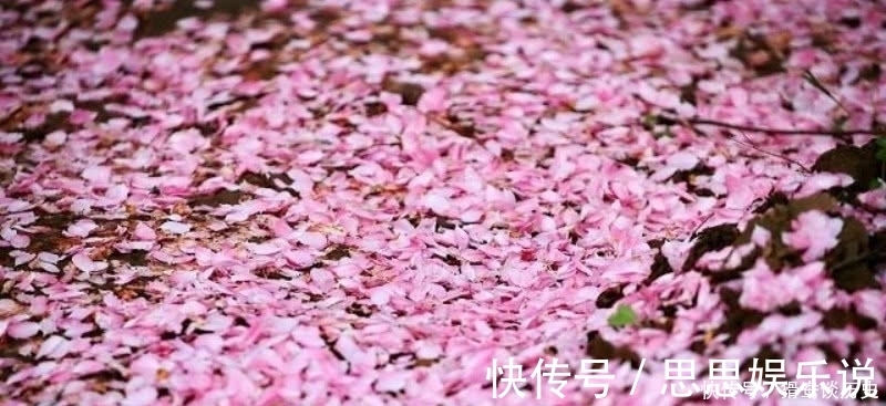 这首诗$李清照的这首《残花》，被很多认为是败笔，虽然有瑕疵但同样经典