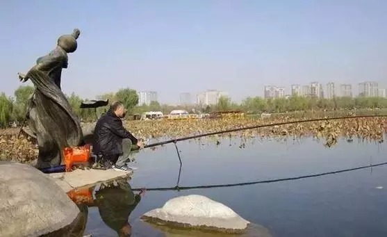 这季|冬钓鲫鱼“七不宜”,看懂了对冬季钓鱼大有好处!