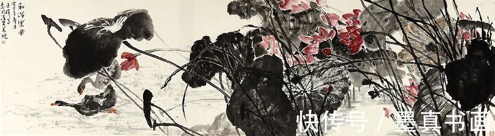 荷花写生稿&「韩延祥」|丹青追梦 水墨本色-中国当代书画名家个人云展览