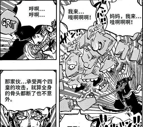 海贼王1010漫画：五皇名副其实，索隆“鬼气·九刀流”得到认可