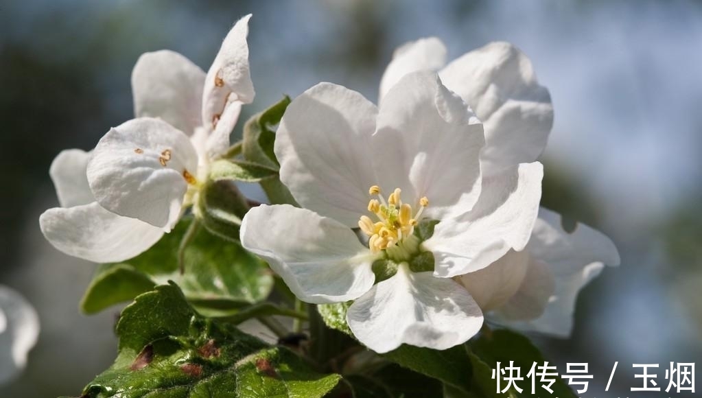 生肖|明天起，喜事红透半边天，1月贵人到，2月财大涨，前程似锦的生肖