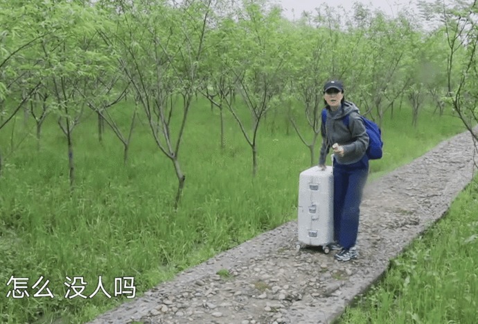 箱子|那英成《向往》最爱摆谱嘉宾，一到就怪罪人，黄磊何炅都招架不住