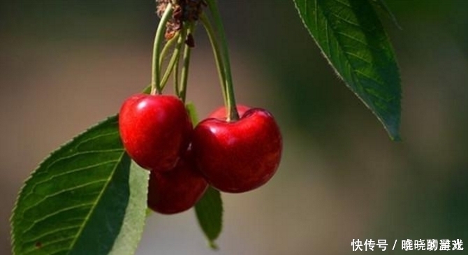 柚子|糖尿病最怕的水果,糖友们的首选,三种最常见的水果