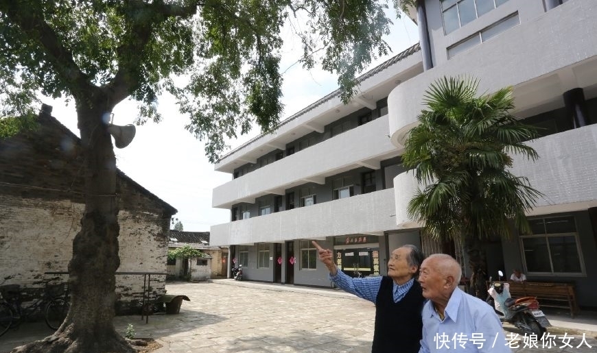 树干|五百年皂荚树,树干长出图案,密密麻麻如“天书”