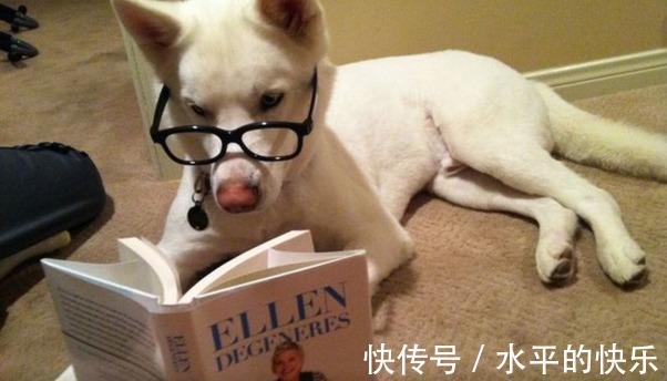 |开心一刻:吃饭不宜看,容易喷饭的搞笑图片,喜欢的请收藏