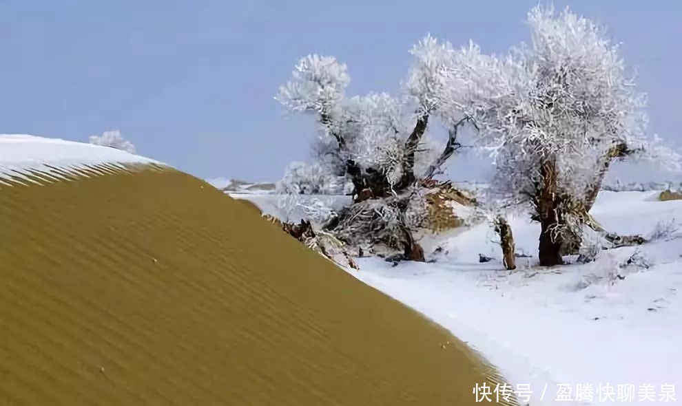 新疆|新疆，雪后的沙漠惊艳全国！