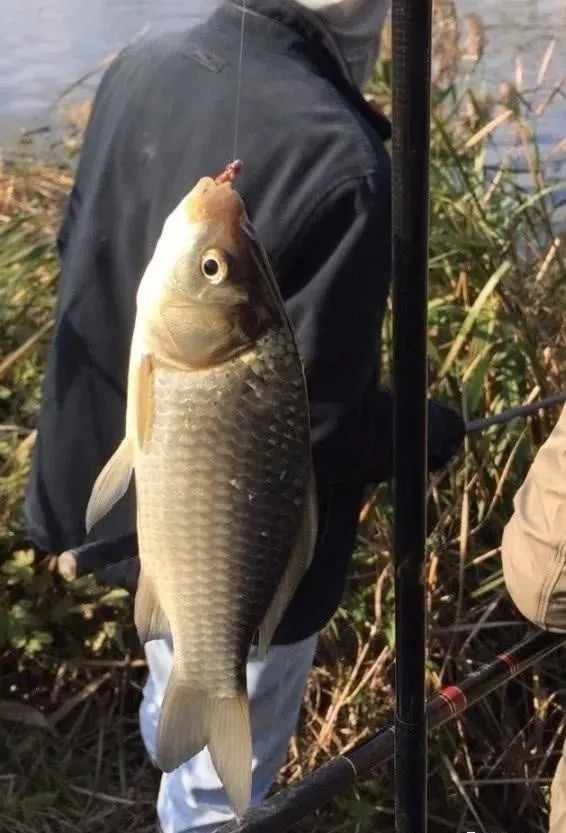 鱼口|鱼口轻要怎么放大信号?把这4个细节改改,包你一个顿口一条鱼