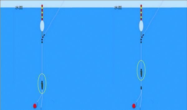 饵料|全飞铅、半飞铅、飞双铅的操作要领,钓鱼不会这几招,可能要吃亏