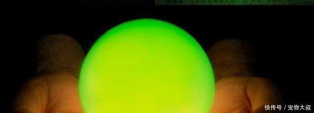 如今|慈禧口中的那颗夜明珠，如今价值8亿，却流落在此地！