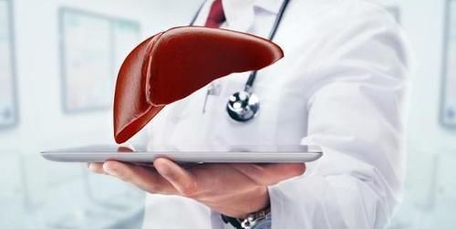 肝硬化|蒲公英加它,堪称肝细胞“修复器”,养肝排毒,肝硬化或知难而退