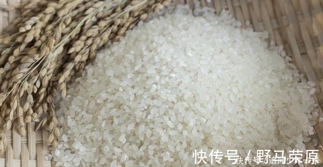 新米还是陈米,教你1招,再也不怕挑错,味道好营养高,不浪费钱