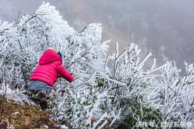 广东第一峰“下雪”啦，玉树琼楼美得让人心醉