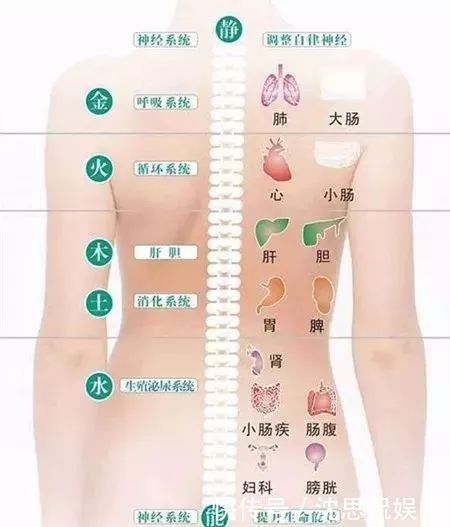 春天做背，人活百岁！5大养背妙法，通气血养五脏，全年不遭罪！