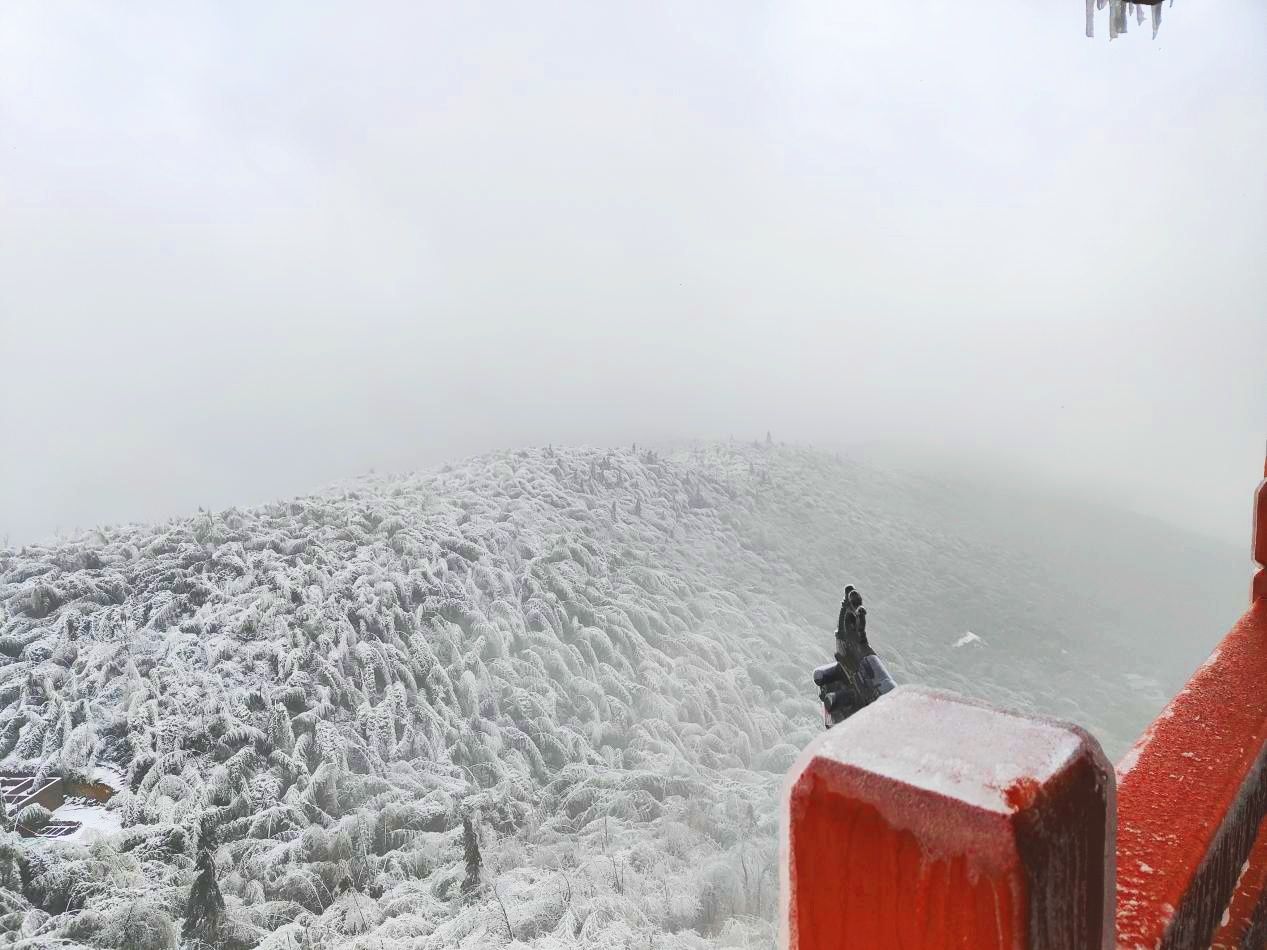 人间仙境|耒阳：蔡伦竹海春光雪景如人间仙境