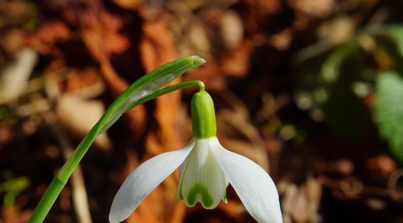 开心果|农历生日尾数是几的孩子,懂事聪慧,一辈子福运缠身