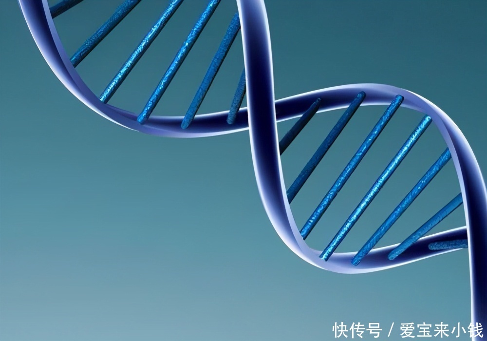 染色体|哪些情况下做试管婴儿需要做染色体检查