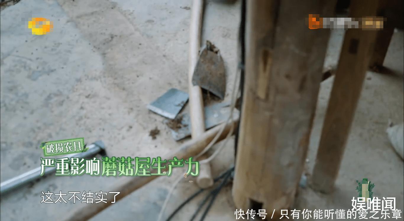 锯子|《向往5》黄磊智商下线,接连抱怨农具不给力,弹幕揭开了真相