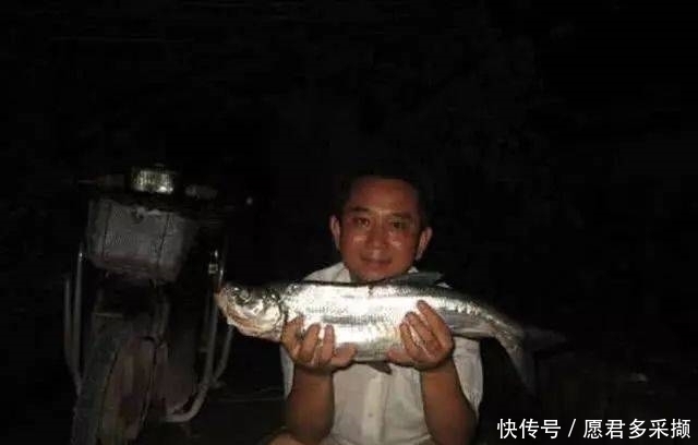 棒花鱼|介绍一种万峰湖当地人钓翘嘴鱼的独特方法