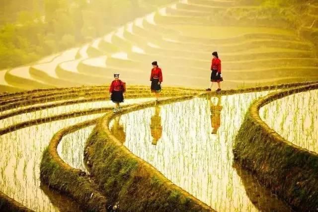 老年|所有4A级景区半价!持续整整3个月!一起去这座山水大省看山看海嗦粉避寒!