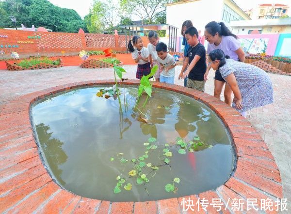 过去“回收站”如今“满庭芳”长征镇这座生境花园“花香满泾”居民纷至沓来|海上搜园记 | 社区