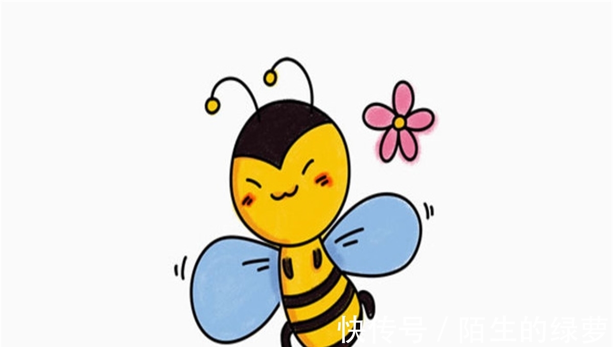 双胞胎|10个冷知识:一勺蜂蜜,需要十二只蜜蜂终生劳作