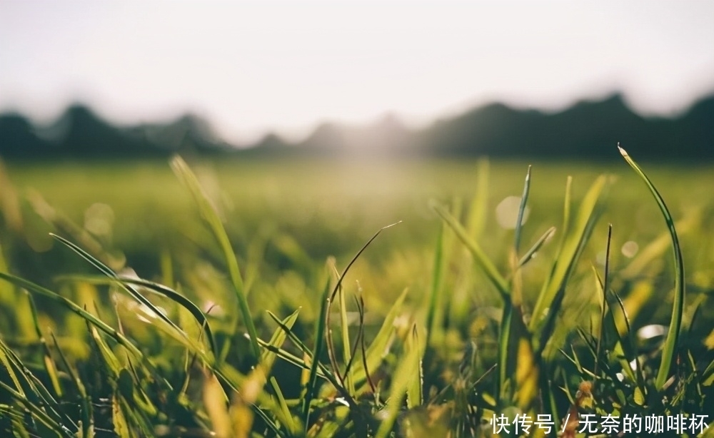 为什么屋子里总是莫名其妙落一层灰尘，它们到底是从哪里来的？