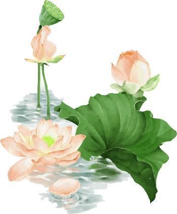 按摩|夏季失眠睡不好,试试这几招穴位按摩