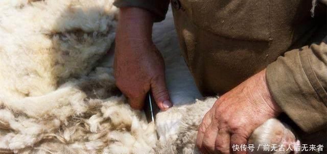 中国|中国没有棉花的时候，穷人怎么“过冬”，冻死的人真不在少数！