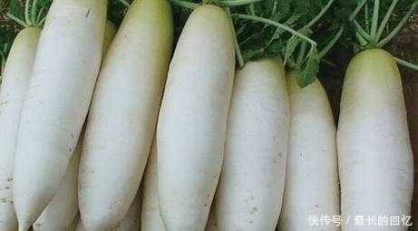 硫氰酸|白萝卜可以很好的滋补身体,但不能同此5种食物一起吃