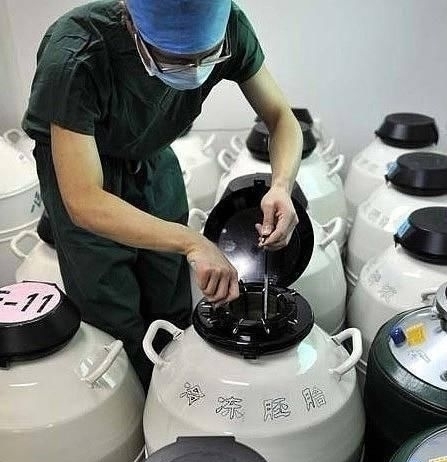 培养箱|揭秘试管婴儿全过程(附图),看完后心疼女性一万遍