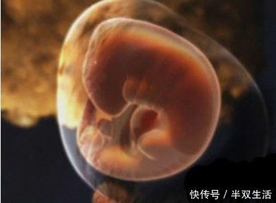 dh怀孕前3个月，胎宝宝都在干什么？原来着床后这么忙，孕妈要了解