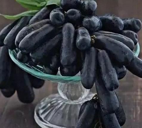 葡萄|世间这8种奇葩水果,我就吃过一种,你要是全部都吃过,就腻害了