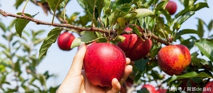 男人|男人经常做这些,小心你身体衰老的越来越快!