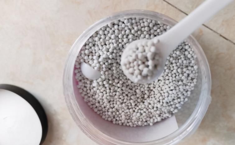 养蟹爪兰不能少了“这3样”，好好用，盆栽开花多又美