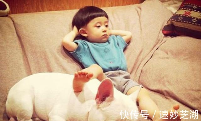 家长|智慧的家长,会重点培养孩子这项能力,早培养能奠定成长的基础