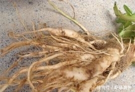 白菜根煮水太厉害了,解决了很多常见的烦恼,要早点了解