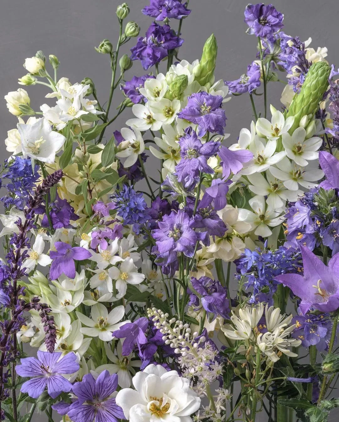 天下风物——《【平凡英雄非凡力量】诗韵咏合》风光题照