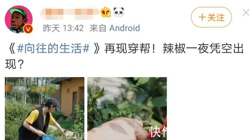 《向往4》辣椒一夜变红,被质疑是穿帮镜头农村人的解释很到位