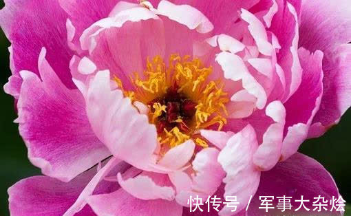 狮子座|6天后，财源大开，喜事到，桃花上门，交出真心，生活多福多喜